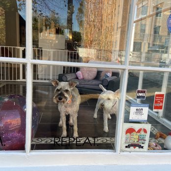 Paw Spa - The girls - Pet Groomers Near Me - Alexandria, Virginia
