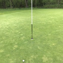Eagle Lake Golf Course - That's a gimmie!
