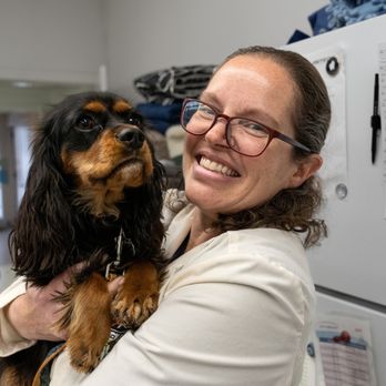 Sequist Animal Hospital - Veterinarians Near Me - Morrisville, Vermont Sequist Animal Hospital - Veterinarians Near Me - Morrisville, Vermont
