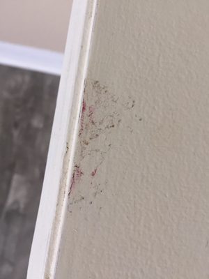 Less Stress Moving Company