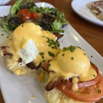 Ruby Slipper Central Business District - Eggs Benedict - Breakfast & Brunch Near Me - New Orleans, Louisiana Ruby Slipper Central Business District - Eggs Benedict - Breakfast & Brunch Near Me - New Orleans, Louisiana