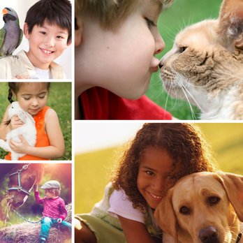 Eye Care For Animals Tampa 12 Reviews Veterinarians 5406 Hoover Blvd Tampa Fl Phone Number