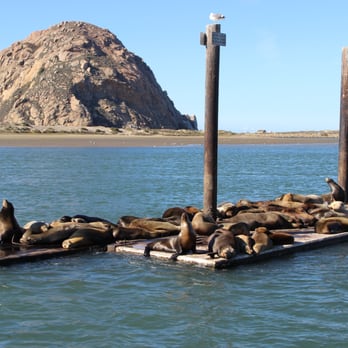 Hotel Avisa - Hotels Near Me - Morro Bay, California Hotel Avisa - Hotels Near Me - Morro Bay, California