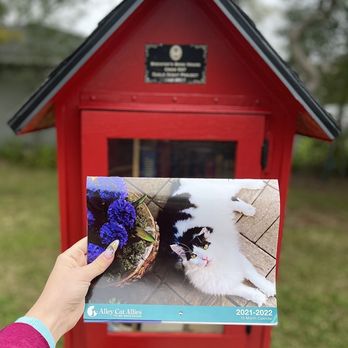 Norma Hamlin Park - Little Library: Cat Calendar we took home! - Parks Near Me - Orangevale, California