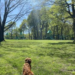 Thornden Park