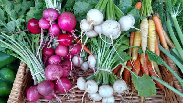 U City Farmers Market by null