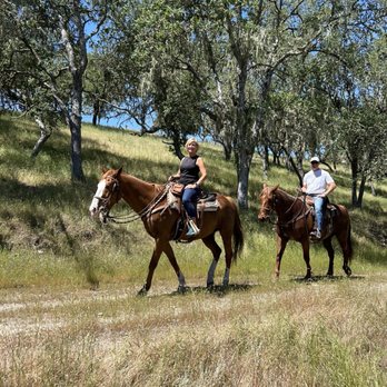 Central Coast Trailrides - Horseback Riding Near Me Central Coast Trailrides - Horseback Riding Near Me