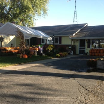Tom Dooley Orchard - a house with pumpkins on display - Fruits & Veggies Near Me - Waupun, Wisconsin Tom Dooley Orchard - a house with pumpkins on display - Fruits & Veggies Near Me - Waupun, Wisconsin