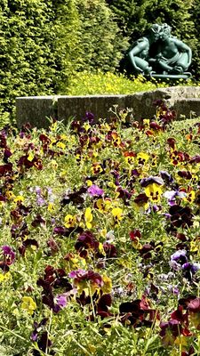 Jardins do Palácio de Cristal by null
