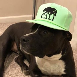 Luka sporting his West Coast look. :)