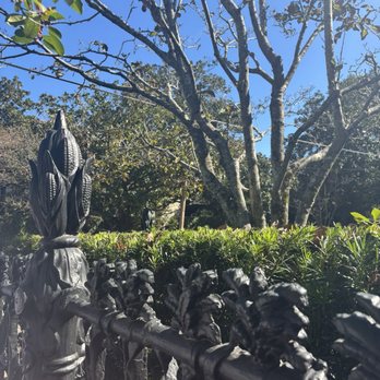 Two Chicks Walking Tours - Walking Tours Near Me - New Orleans, Louisiana