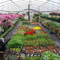 Mountaineer Garden Center Florist & Greenhouses - Beauty in the greenhouse