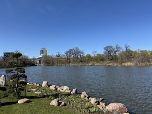 Jackson Park by null