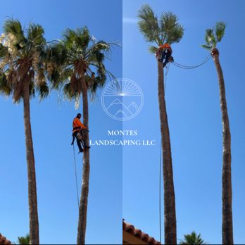 Montes Landscaping - Lawn Services Near Me - Phoenix, Arizona Montes Landscaping - Lawn Services Near Me - Phoenix, Arizona
