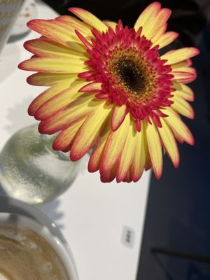 Hotel Brauhof Wien by null