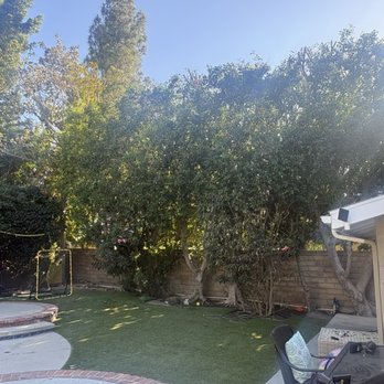 Affordable Tree Care - Tree Services Near Me Affordable Tree Care - Tree Services Near Me