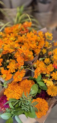 Erewhon by null Erewhon by null