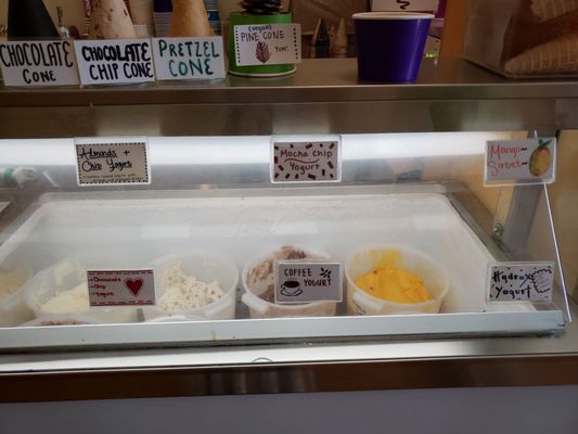 rancatore's ice cream & yogurt by null