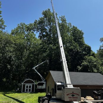 Mike's Professional Tree Service - Tree Services Near Me - Coventry, Rhode Island Mike's Professional Tree Service - Tree Services Near Me - Coventry, Rhode Island