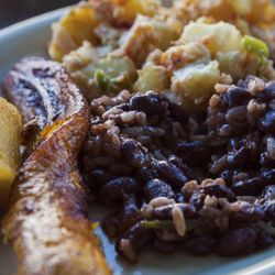 Mi Ranchito Salvadoreño - Mi Ranchito Salvadoreño-Antojitos Típicos
