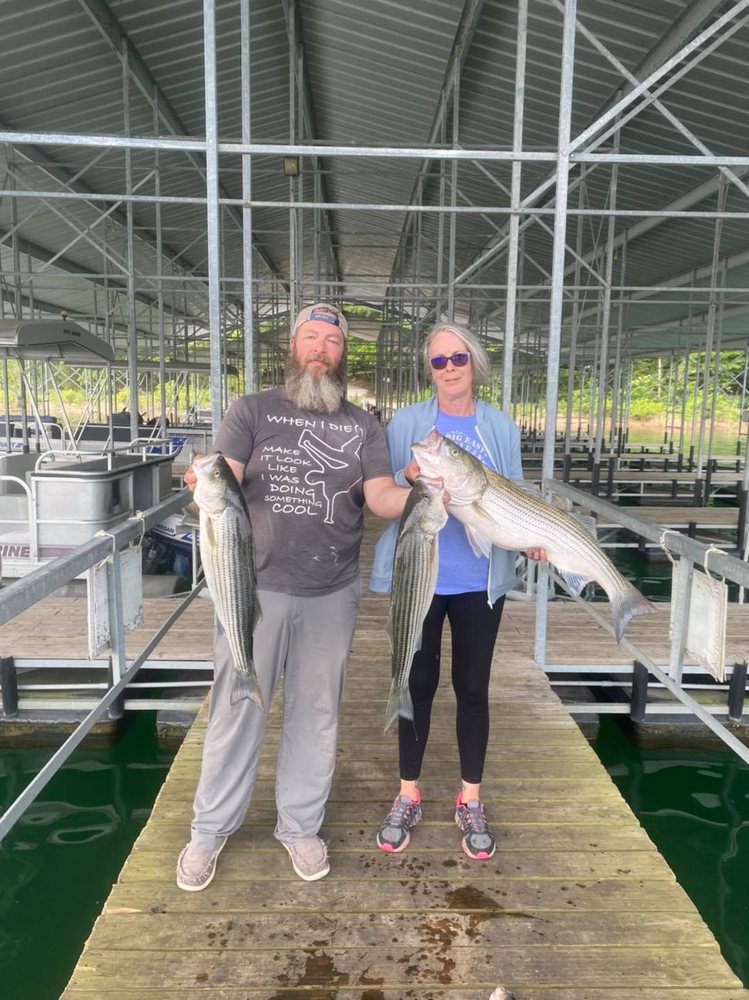 REELIN’ IN THE OZARKS Updated April 2024 12 Photos Rogers