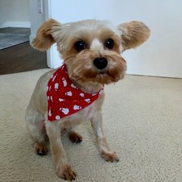 Evie post groom! Evie post groom!