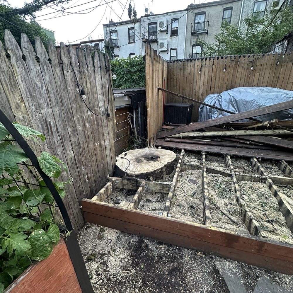 Tarzan Tree Removal - Tree Services Near Me Tarzan Tree Removal - Tree Services Near Me