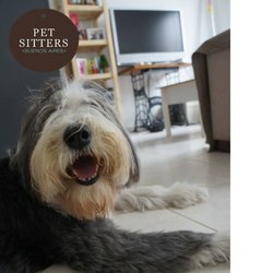 Pet Sitters BA - Pet Sitters Buenos Aires cuida tu mascota en tu domicilio cuando te vas de viaje