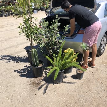Nature's Best Nursery - All this for $115 with tax! - Nurseries & Gardening Near Me - Camarillo, California Nature's Best Nursery - All this for $115 with tax! - Nurseries & Gardening Near Me - Camarillo, California