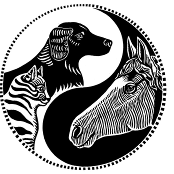 1. Windy Hollow Veterinary Clinic