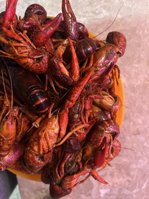 Pops Crawfish by null