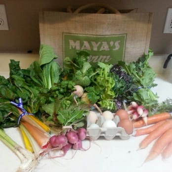 Maya's Farm - Week 9 Winter 2013 CSA.  Yes, those are fresh eggs. Litterally and I kid not, my last egg was walked from the coup to my basket - Farms Near Me - Phoenix, Arizona