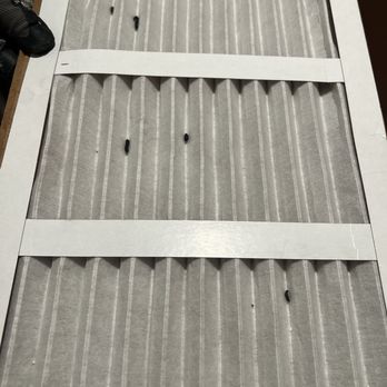 The Modern Cactus - rats poop on the AC filter - Apartments Near Me - Palm Springs, California