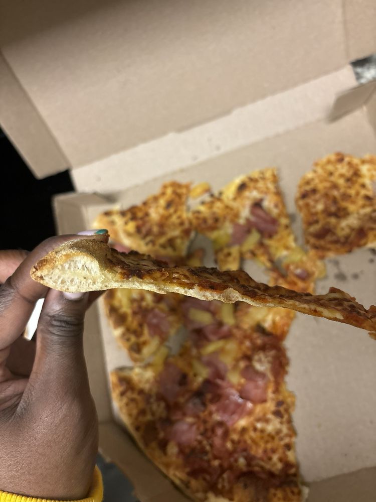 Domino's Pizza Logo