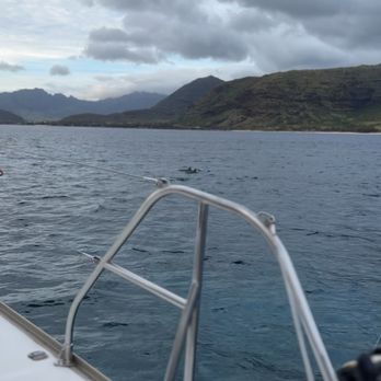 MANA Cruises & Charters - Dolphins around sunset! West Oahu in the distance - Boat Tours Near Me - Kapolei, Hawaii MANA Cruises & Charters - Dolphins around sunset! West Oahu in the distance - Boat Tours Near Me - Kapolei, Hawaii