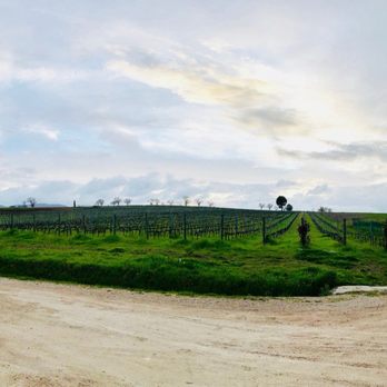 Bocale Vini - Bocale Winery - Wine Tasting Room Near Me - Montefalco, PG