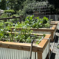 In Season Market and Nursery - More