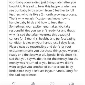 Junior's Pet Zone - Business response to my first review - Pet Stores Near Me - Los Angeles, California Junior's Pet Zone - Business response to my first review - Pet Stores Near Me - Los Angeles, California
