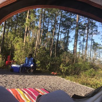Grayton Beach State Park 157 Fotos Y 40 Resenas Parques Y