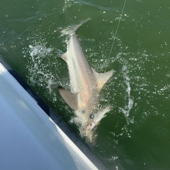 Seaplay Charters - Boating Near Me - Galveston, Texas