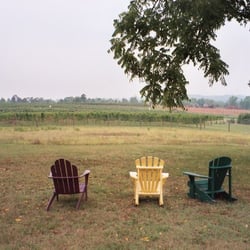 LeoGrande Vineyards & Winery - The vineyards at LeoGrande