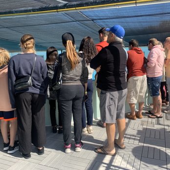 The Turtle Hospital - Too many people in a group - Veterinarians Near Me - Marathon, Florida The Turtle Hospital - Too many people in a group - Veterinarians Near Me - Marathon, Florida