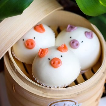 Cafe Aloe - Piggy Bun - Cafes Near Me - Bellevue, Washington Cafe Aloe - Piggy Bun - Cafes Near Me - Bellevue, Washington