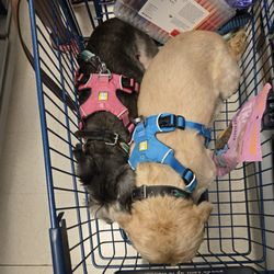 Marshalls - Shopping time