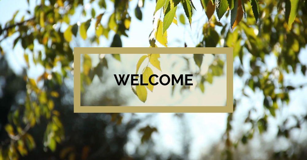 New Life Evangelistic Center - social services organization in Overland, MO