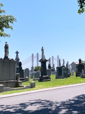 Calvary Cemetery by null