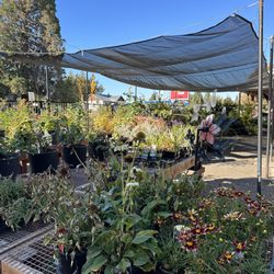 DO It Best Valley Hardware & Nursery