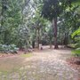 Photo of Bosque do Alemães