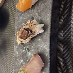 Yellowtail