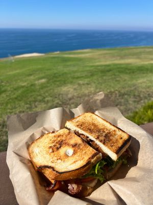Torrey Pines Gliderport by null